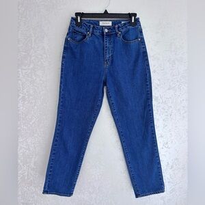 PacSun Medium Blue High Waisted Mom Jeans Size 26